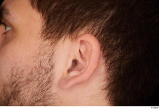 Hamza ear 0001.jpg